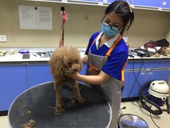-瑞派动物医院·猫专科·至诚(江南中分院)