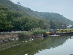 -荷塘味道(水长城店)