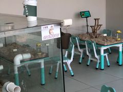 -怪兽屋·羊驼·猫咖·狗咖(俊华广场店)