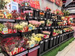 -盒马鲜生(红莲店)