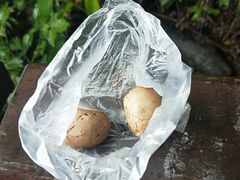 香菇茶叶蛋-金盆阿嬷香菇茶叶蛋(玄光店)