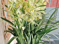 -顺峰(农展馆店)