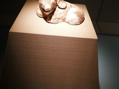 -宁夏博物馆