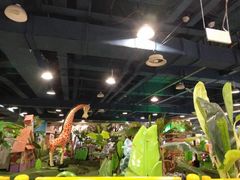 -嘉文梦想世界(SM天津滨海城市广场店)