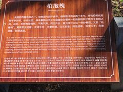 -仓颉庙