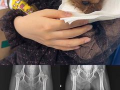 -伟伟宠物医院·CT影像中心·瑞派犬猫综合性门诊(汉口总院)
