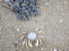 -北海金海湾红树林生态旅游区