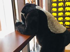 -ZOO COFFEE动物园咖啡(望京锐创店)