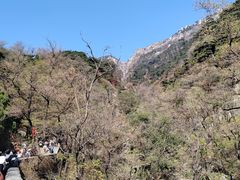 -泰山风景名胜区