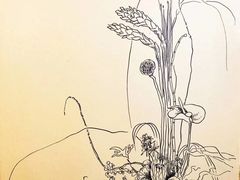 -荷兰布尔玛国际花艺学院
