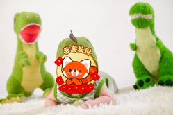-小熊维尼高端儿童摄影(宝安旗舰店)