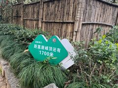 -雨花胜境
