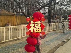 -1982农场
