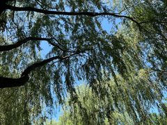 -御灸堂古法艾灸(东坝店)