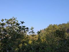 -故乡缘·香格里拉山庄(冷竹路店)