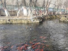 -水磨沟公园