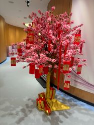 -海峡医疗美容医院