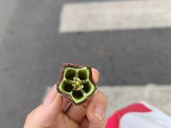 -薛记炒货(文化东店)