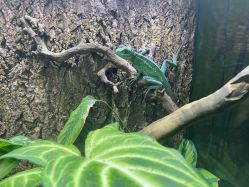 -酷嗒动物文化乐园(cutezoo西溪乐天城店)