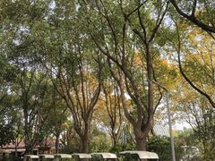 -昆山城市生态森林公园