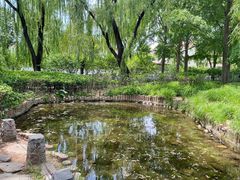 -玲珑塔公园