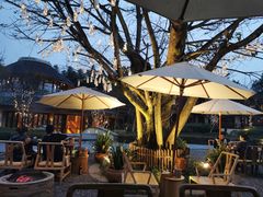 -青城山六善酒店·紫氣園中餐厅