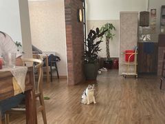 -月迷津渡(吾悦国际店)