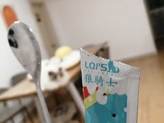 -有喵·猫咖·狗咖·30几只猫10只小狗(岗厦店)