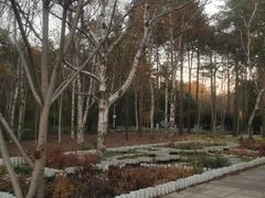 -黑龙江省森林植物园