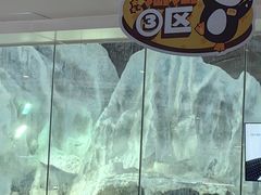 -帝企鹅自助餐厅•儿童岛•真企鹅(长隆企鹅酒店)