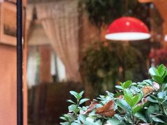 -三里屯东五街银杏大道