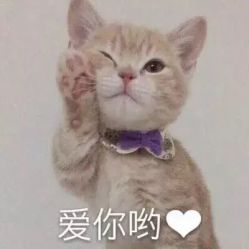 点击看大图 -周大福CHOW TAI FOOK(南京东路永安百货店)