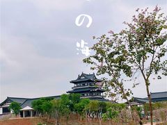 -海珠湖公园