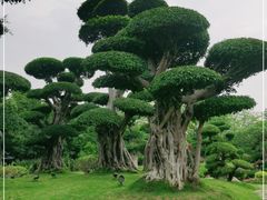 -南宁南湖公园