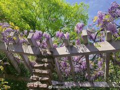 -和平公园