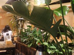 -庆合府重庆大排档(紫都城店)