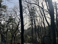 -罗田薄刀峰风景区
