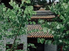 -顺峰山公园