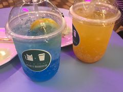 -有猫主题·治愈系猫咖(曾厝垵店)