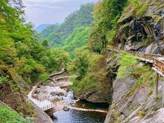 -洛阳白云山景区
