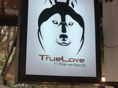 -TrueLove @ Neverland (Husky Cafe)