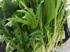 -丽江庭院之丽江往事(安定门店)