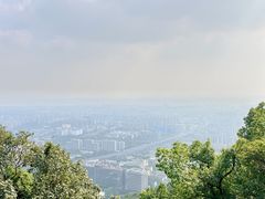 -杭州半山国家森林公园