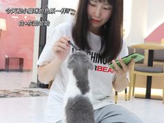 -喵园·猫主题咖啡厅·撸猫·猫咖(国贸店)