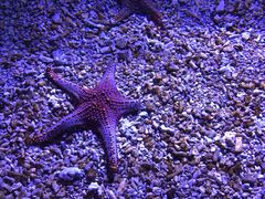 -波塞冬旅游度假区