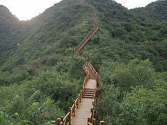-大岭沟猕猴桃谷风景区