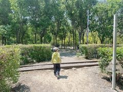 -西青郊野公园