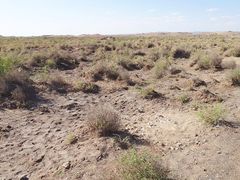 景点-汉长城遗址