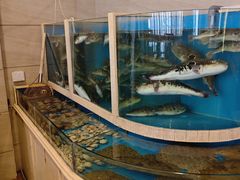 -天正河鲀·河豚亭(大连店)