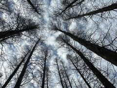 -棒棰岛宾馆景区